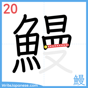 How to write "鰻" - stroke 20
