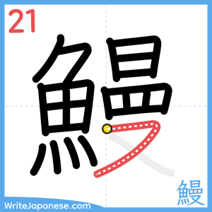How to write "鰻" - stroke 21