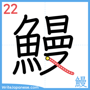 How to write "鰻" - stroke 22