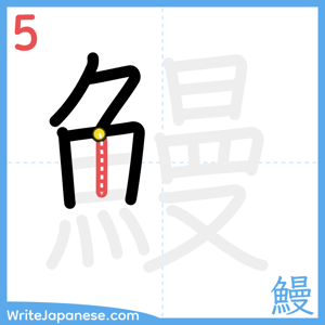 How to write "鰻" - stroke 5