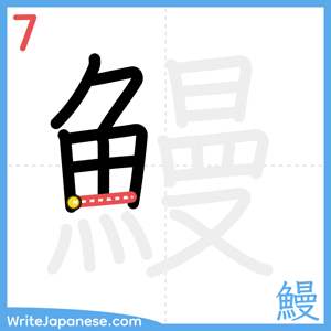 How to write "鰻" - stroke 7