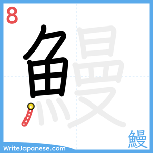 How to write "鰻" - stroke 8