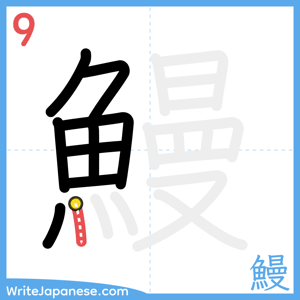 How to write "鰻" - stroke 9