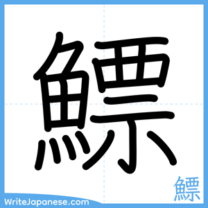 How to write "鰾" - complete stroke order
