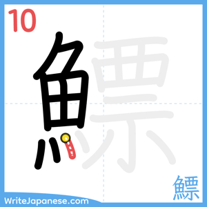 How to write "鰾" - stroke 10