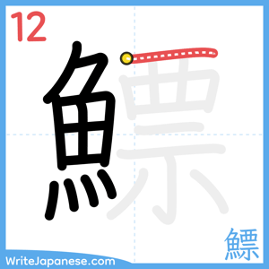 How to write "鰾" - stroke 12