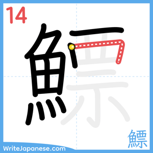 How to write "鰾" - stroke 14