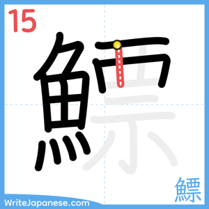 How to write "鰾" - stroke 15