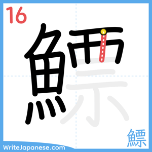 How to write "鰾" - stroke 16