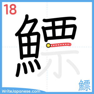 How to write "鰾" - stroke 18