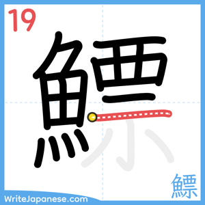 How to write "鰾" - stroke 19