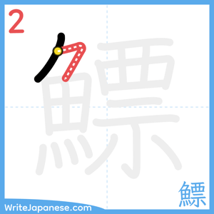 How to write "鰾" - stroke 2