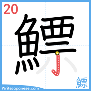 How to write "鰾" - stroke 20