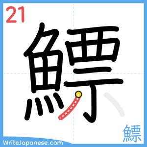 How to write "鰾" - stroke 21