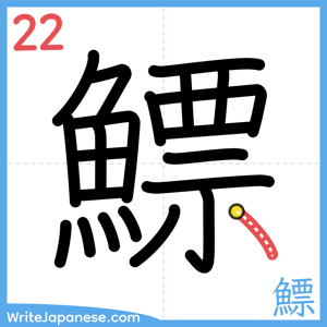 How to write "鰾" - stroke 22