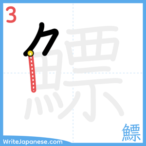 How to write "鰾" - stroke 3