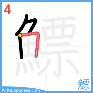 How to write "鰾" - stroke 4