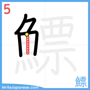 How to write "鰾" - stroke 5