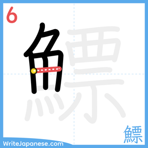 How to write "鰾" - stroke 6