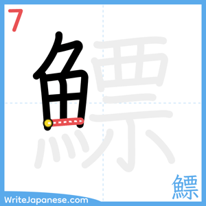 How to write "鰾" - stroke 7