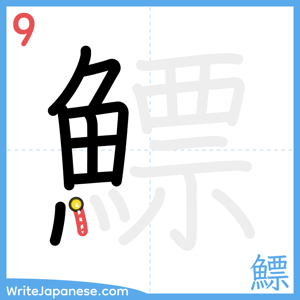 How to write "鰾" - stroke 9