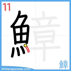 How to write "鱆" - stroke 11