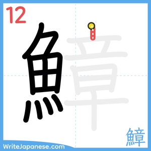 How to write "鱆" - stroke 12