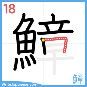 How to write "鱆" - stroke 18