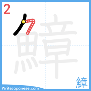 How to write "鱆" - stroke 2