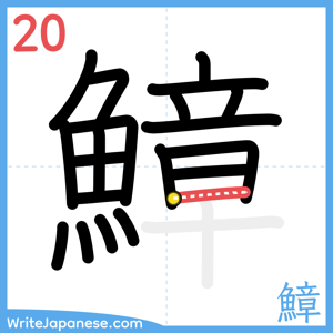 How to write "鱆" - stroke 20