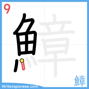 How to write "鱆" - stroke 9