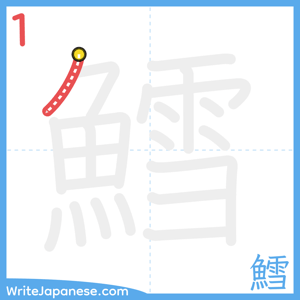 How to write "鱈" - stroke 1