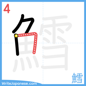 How to write "鱈" - stroke 4