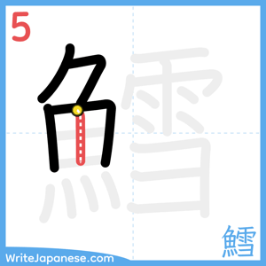 How to write "鱈" - stroke 5