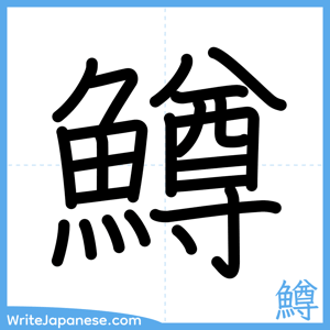 How to write "鱒" - complete stroke order
