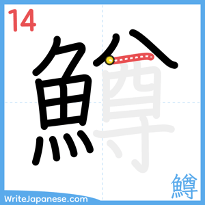 How to write "鱒" - stroke 14
