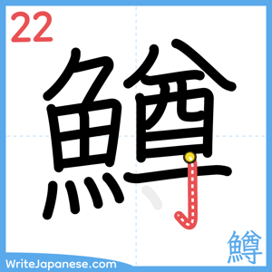 How to write "鱒" - stroke 22