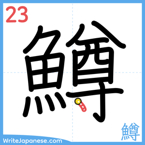 How to write "鱒" - stroke 23