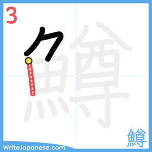 How to write "鱒" - stroke 3