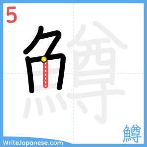 How to write "鱒" - stroke 5