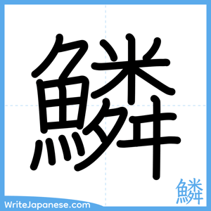 How to write "鱗" - complete stroke order