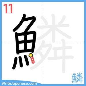 How to write "鱗" - stroke 11