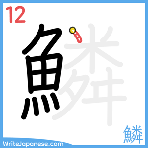 How to write "鱗" - stroke 12