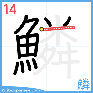 How to write "鱗" - stroke 14