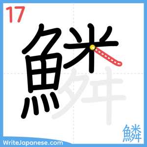 How to write "鱗" - stroke 17