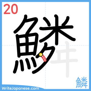 How to write "鱗" - stroke 20