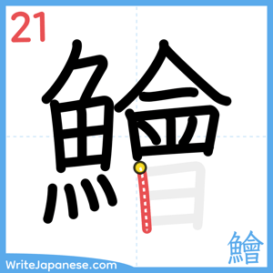How to write "鱠" - stroke 21