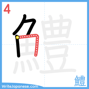 How to write "鱧" - stroke 4