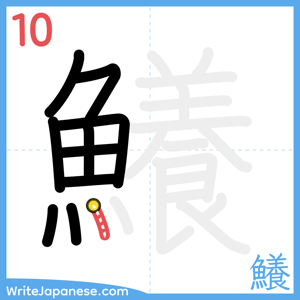 How to write "鱶" - stroke 10