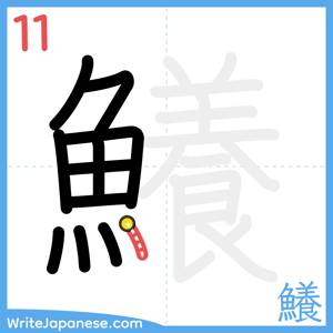 How to write "鱶" - stroke 11